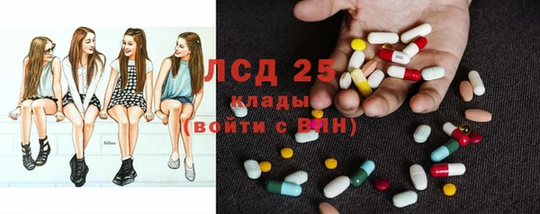 ешки Санкт-Петербург