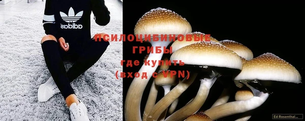 прущий лед Нефтекумск