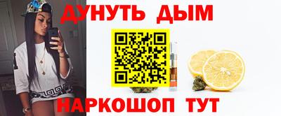 крисы Донской