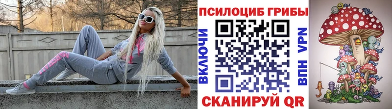 Галлюциногенные грибы ЛСД  Рубцовск 